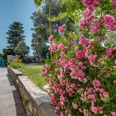 Palazzo Limone With Pool By Guide Osor